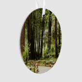 ミュアウッズPath I自然写真 オーナメント (正面)