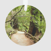 ミュアウッズPath I自然写真 オーナメント (裏面)