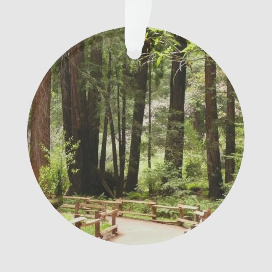 ミュアウッズPath I自然写真 オーナメント (正面)