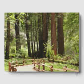 ミュアウッズPath I自然写真 ゲストブック (裏面)