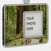 ミュアウッズPath I自然写真 シルバープレートフレームオーナメント (右)