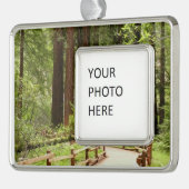 ミュアウッズPath I自然写真 シルバープレートフレームオーナメント (左)