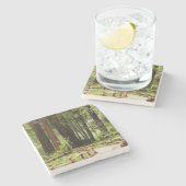 ミュアウッズPath I自然写真 ストーンコースター (横)