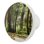 ミュアウッズPath I自然写真 セラミックノブ (右)