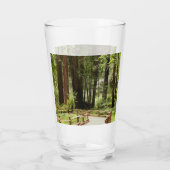 ミュアウッズPath I自然写真 タンブラーグラス (裏面)