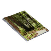 ミュアウッズPath I自然写真 ノートブック (右側)