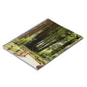 ミュアウッズPath I自然写真 ノートブック (左側)