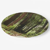 ミュアウッズPath I自然写真 ペーパープレート (アングル)