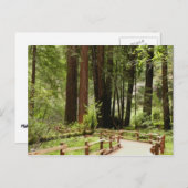 ミュアウッズPath I自然写真 ポストカード (正面/裏面)