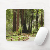 ミュアウッズPath I自然写真 マウスパッド (マウス)