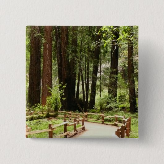 ミュアウッズPath I自然写真 缶バッジ (正面)