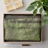 ミュアウッズPath I自然写真 薄葉紙 (ギフト)