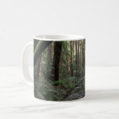 ミュアウッドストリームフォレストの風景 コーヒーマグカップ (正面左)
