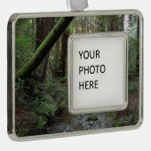 ミュアウッドストリームフォレストの風景 シルバープレートフレームオーナメント (右)