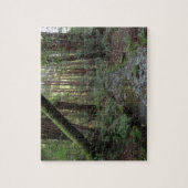 ミュアウッドストリームフォレストの風景 ジグソーパズル (縦)