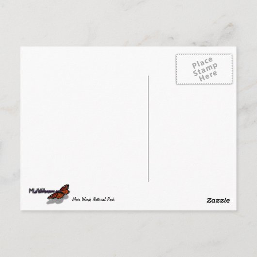 ミュアウッドストリームフォレストの風景 ポストカード (裏面)