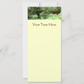 ミュアウッドブリッジI (裏面)