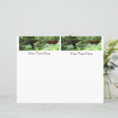 ミュアウッドブリッジI (スタンド正面)