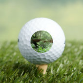 ミュアウッドブリッジI ゴルフボール (インサイチュ 木)