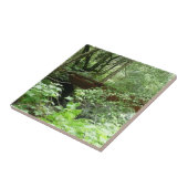 ミュアウッドブリッジI タイル (側面)