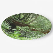 ミュアウッドブリッジI ペーパープレート (アングル)