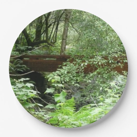 ミュアウッドブリッジI ペーパープレート (正面)