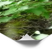 ミュアウッドブリッジI ポスター (コーナー)