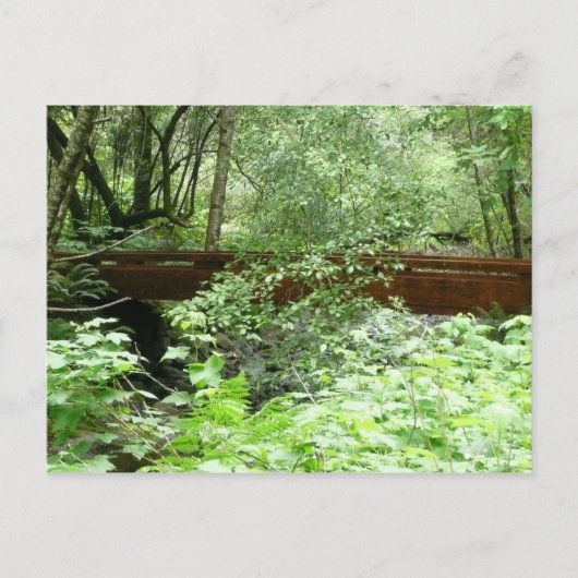 ミュアウッドブリッジI ポストカード (正面)