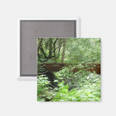 ミュアウッドブリッジI マグネット (正面/裏面)