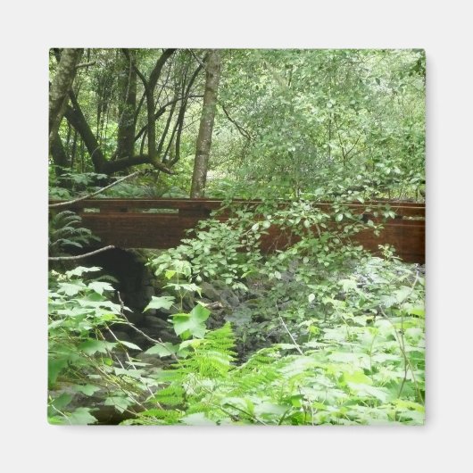 ミュアウッドブリッジI マグネット (正面)