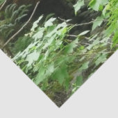 ミュアウッドブリッジI 薄葉紙 (詳細)