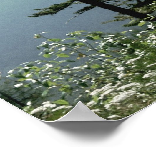 ミュア引用文ポスター自然写真山松 ポスター (角)