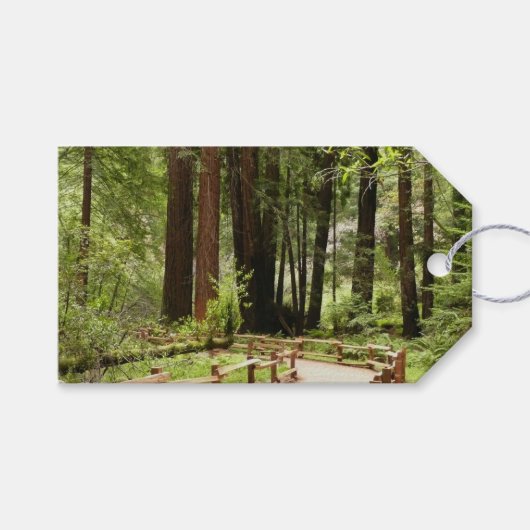 ミュア・ウッズの小道 I 自然写真 ギフトタグ (正面(横))