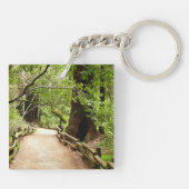 ミュア・ウッズの小道II 自然写真 キーホルダー (裏面)