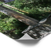 「ミュア・ウッズ入り口」 ポスター (角)