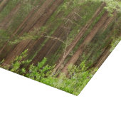 ミュア・ウッズ国定公園のセコイアの木 カッティングボード (角)