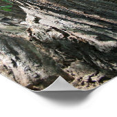 ミュア・ウッズ「トリプルツリー」 ポスター (角)