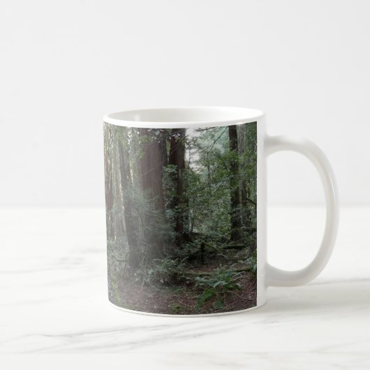 ミュウアの森のせせらぎの森の風景 コーヒーマグカップ (右)