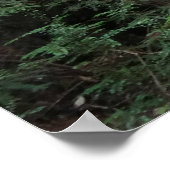 ミュウアの森のせせらぎの森の風景 ポスター (角)