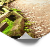 ミュウアの森の小道 II 自然写真 ポスター (角)