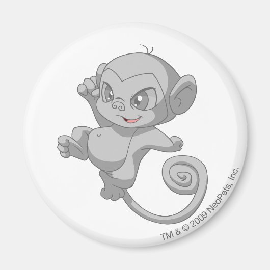 ミュンシーシルバー マグネット (正面)