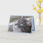 ミューめでたいアニバーサリーのかわいい猫 カード (黄色い花)