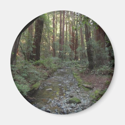 ミューアの森のせせらぎの森の風景 マグネット (正面)