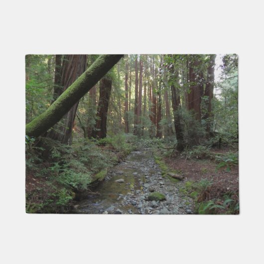 ミューアの森の小川の森の風景 ドアマット (正面)