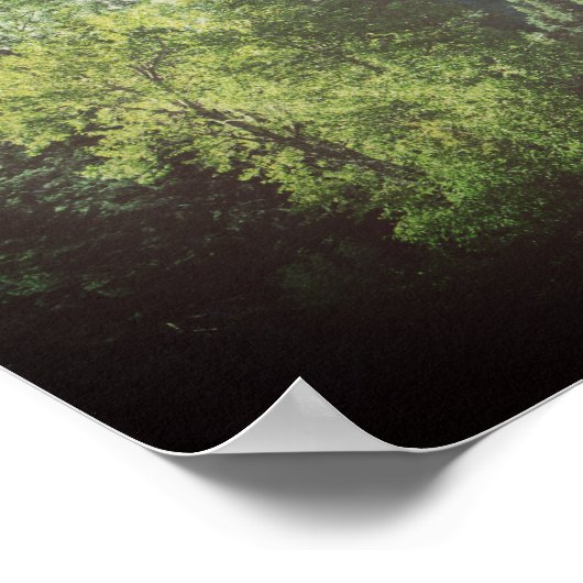 ミューア引用文山々は松の木を呼んでいる ポスター (角)