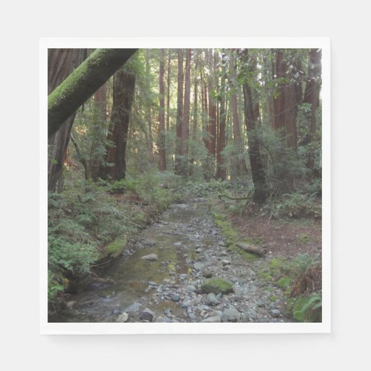 ミューア・ウッズの小川の森の風景 スタンダードランチョンナプキン (正面)