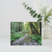 ミューア・ウッズハガキ ポストカード (スタンド正面)