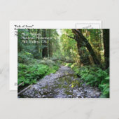 ミューア・ウッズハガキ ポストカード (正面/裏面)