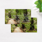 ミューア・ウッズ・パスII自然写真 (デスク)