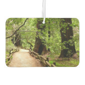 ミューア・ウッズ・パスII自然写真 カーエアーフレッシュナー (裏面)